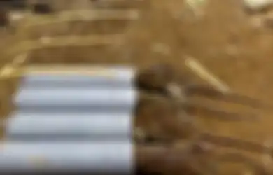 (Foto) 7 Jebakan Tikus Sederhana yang Bisa Anda Buat dengan Muda di Rumah, Dijamin Bikin Tikus Kapok!