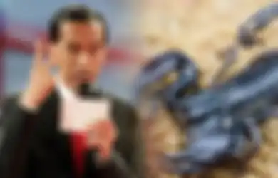 Pernyataan Jokowi Benar atau Hoax?  Inilah Fakta Racun Kalajengking di Mata Sains