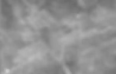 Misteri Lembah Nazca yang Konon Kabarnya Menjadi Bandara UFO, Terlihat dari Lukisan di Permukaannya