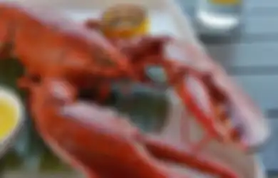 Bertentangan dengan Susi, Menteri Edhy akan Buka Ekspor Benih Lobster, Negara Ini yang akan Diuntungkan Sementara Sentra Perikanan Indonesia akan Hancur