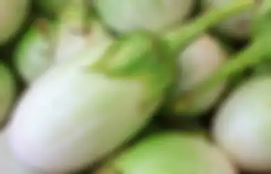 Hati-hati, Mengonsumsi Terong Mentah Bisa Berisiko Keracunan