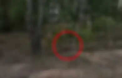 Bak Hantu, Inilah Cara Sniper Profesional Bersembunyi dan Berpindah Tempat