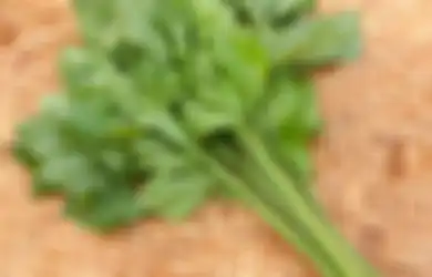 Obat Alami Biduran, Konsumsi Campuran Seledri Segar dan Ketimun Sebagai Lalapan Juga Dapat Mengatasi Tekanan Darah Tinggi, Simak Selengkapnya