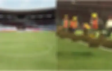 Rumput Stadion GBK 'Digunduli' Untuk Asian Games, Begini Tampilannya Sekarang