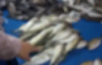 Jangan Salah, Ikan Kembung Lebih Bergizi Ketimbang Salmon yang Mahal