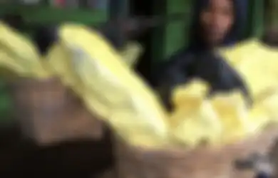 Kisah Penambang Belerang di Gunung Ijen yang Hasilkan Banyak 'Uang Instan' Walau Nyawa Bisa Melayang