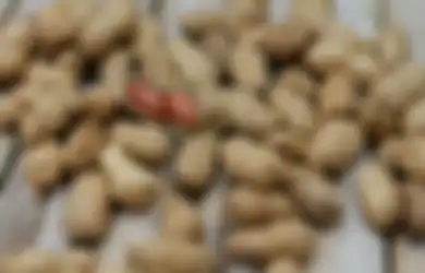 Fakta Sebenarnya di Balik Mitos 'Makan Kacang Bikin Jerawatan'