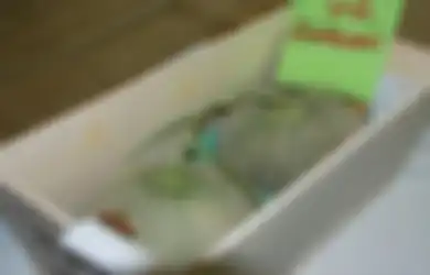 Melon Ini Terjual Seharga Hampir Setengah Miliar, Apa Istimewanya?