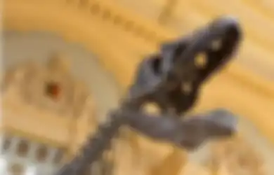 Museum Dianggap Terlalu Miskin, Kerangka Dinosaurus Nyaris Lengkap Ini pun Terpaksa Dilelang