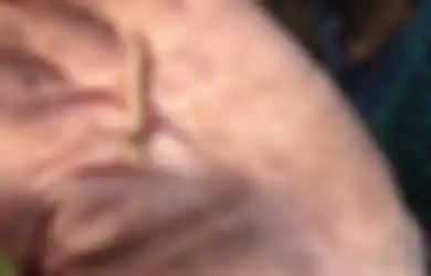 Inilah 'Harta Karun' Kuno yang Ungkap Kehidupan Misterius Orang-orang Hilang di Skotlandia