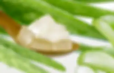 Kaya Manfaat, 5 Tanaman Obat Ini Bisa Ditanam di Pot Rumah Anda, Lo!