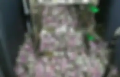 Tikus-tikus Ini Sungguh Kebangetan, Makan Uang di ATM Hingga Rp250 Juta