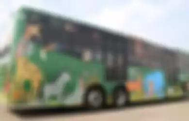 Sebanyak 10 bus transjakarta rute Ragunan dan Ancol, dipasangi stiker bergambar satwa. Pemasangan stiker itu sebagai bagian keikutsertaan PT Transjakarta memperkenalkan lokasi wisata di Ibu Kota.