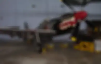 Kerahkan Pesawat Tempur Mati-matian Gempur Indonesia Tahun 1948, Agresi Militer Belanda Itu Justru Jadi Rejeki Nomplok Bagi Indonesia, Ini Alasannya