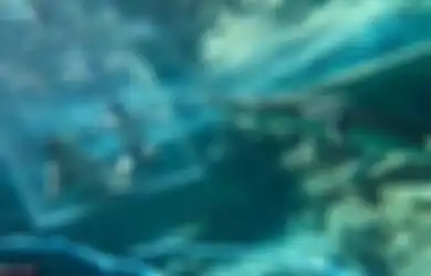 Pria Ini Melamar Kekasihnya di Bawah Air dan Buaya sebagai Saksinya