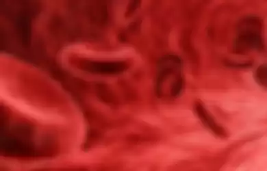 Peredaran darah fungsinya bermacam-macam