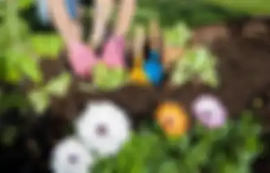 Anda Suka Berkebun? Banggalah, Sebab Ada 5 Manfaat Kesehatan Luar Biasa dari Hobi Berkebun