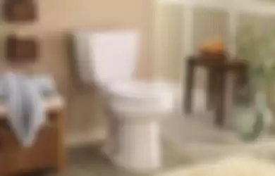 toilet | dok. hgtv.com