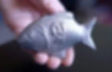 Terlihat Sepele, Siapa Sangka Ikan Besi Kecil Ini Telah Menyelamatkan Nyawa Jutaan Orang