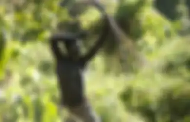 Demi Pembangunan Jalan, Tempat Tinggal Suku Berusia 50.000 Tahun Ini Terancam Hilang