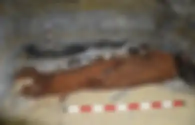Luput dari Penjarahan Makam, Peti Kayu yang Rusak Ini Menyimpan Topeng Istimewa