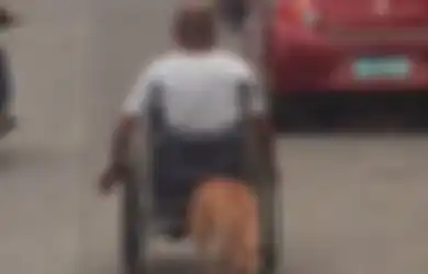 Video Menyentuh Hati Ketika Seekor Anjing Mendorong Kursi Roda Majikannya Dengan Moncongnya…