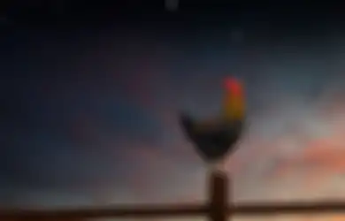 Bukan Mitos, Ini yang akan Terjadi Jika Ayam Jago Berkokok Tengah Malam atau Angsa Tidur Berdiri dengan Satu Kaki