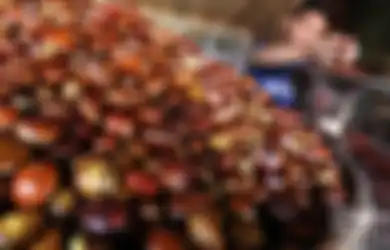 Meski Menimbulkan Bau Tidak Sedap, Jengkol Punya Manfaat Bagi Kesehatan Tubuh, Mampu Mencegah Anemia hingga Diabetes