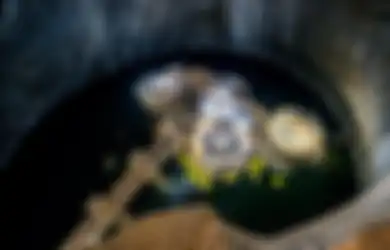 Melalui Foto-foto Ini Kita Tahu, Rupanya Ada Kehidupan Mewah yang Tersembunyi di Perut Bumi