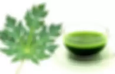 4 manfaat kesehatan yang didapatkan dengan mengkonsumsi jus daun pepaya