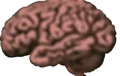 Bener Nggak Sih Kalo Manusia Cuma Pake 10% Dari Kemampuan Otaknya?