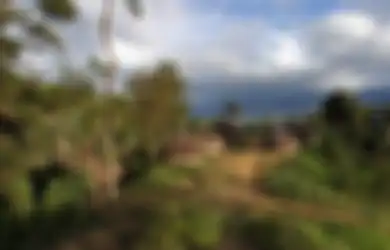 Jalankan Sebuah Misi, 4 Penjelajah Ini Justru Dibunuh dan Dimakan oleh Suku Kanibal di Papua Nugini