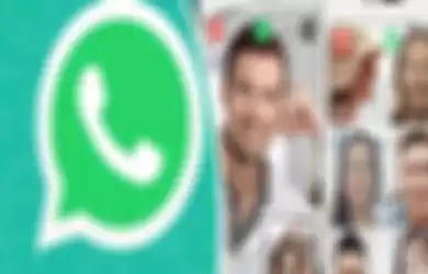 Video call group WhatsApp