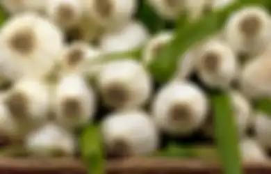 Berniat Obati Kutu Air Sendiri dengan Potongan Bawang Putih Mentah, Kaki Wanita Ini Justru Melepuh