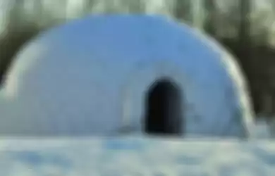 Igloo