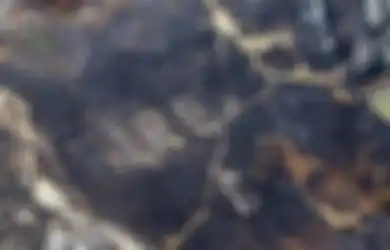 Berkah di Balik Musibah, Kebakaran Hutan di Irlandia Ungkap Pesan Perang Dunia II yang Tersembunyi