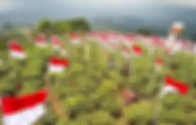 Mahasiswa Papua Bentrok dengan Ormas karena Tolak Pasang Bendera: Benarkah Kita Wajib Pasang Bendera?