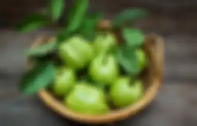 Mengatasi Diabetes dengan Ramuan Daun Jambu Biji, Begini Cara Membuatnya!
