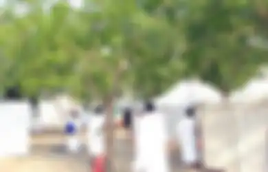 Kisah Pohon Soekarno di Padang Arafah, Mengubah Padang Tandus Jadi Ijo Royo-royo