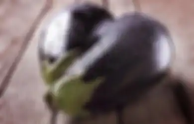 Kepopuleran Terong dalam Mengatur Gula Darah hingga  Mengurangi Risiko Penyakit Jantung