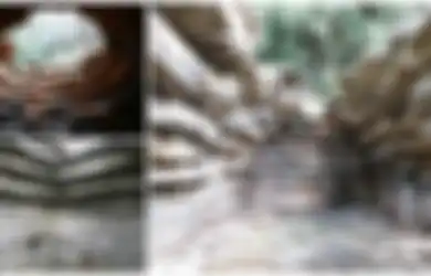 Benarkah Rumah Naga di Yunani Ini Buktikan Adanya Naga di Zaman Dulu?