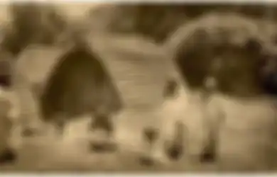 Suku Toda Hanya Mengakui 'Ayah Sosiologis' Bukan 'Ayah Biologis', Ini Maksudnya