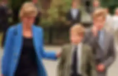 Dari Cincin, Uang, dan Tanah, Inilah 7 Warisan Putri Diana Untuk Pangeran William dan Harry