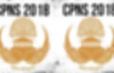 Seleksi CPNS 2018 Akan Dibuka:  Ini Perbedaan PNS dan Pegawai BUMN