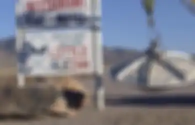 Inilah Area Pendaratan UFO yang Misterius dan Dirahasiakan Amerika, Warga Sipil Tak Boleh Mengunjunginya