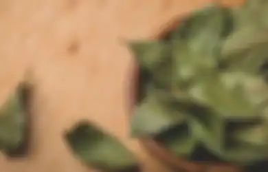 Bakar Daun Salam Dalam Ruangan dan Rasakan 3 Manfaat Istimewa Ini, Baik Untuk Redakan Stres