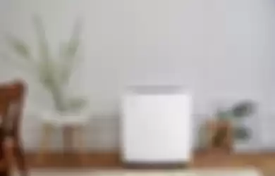 Air purifier membantu menghasilkan udara yang sehat dan segar.