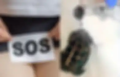 Masih Ingat Kasus Kura-kura Masuk Alat Kelamin Wanita? Foto Kura-kura yang Malang Itu Tersebar!