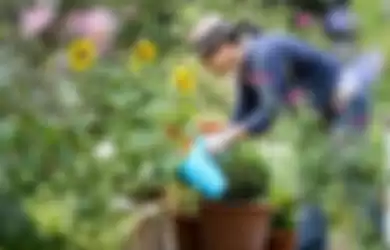 Cara mudah memanfaatkan barang yang ada di rumah untuk berkebun