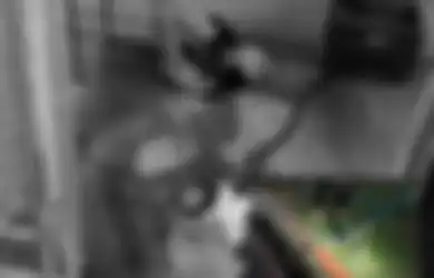 Dikira Digaruk Kucing Peliharaannya, Wanita Ini Kaget Ketika Tahu Rupanya Digigit Piton 3 Meter